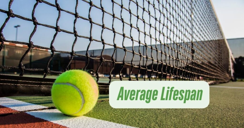 Average Tennis Court Lifespan | ProCourts KC Court Maintenance Experts